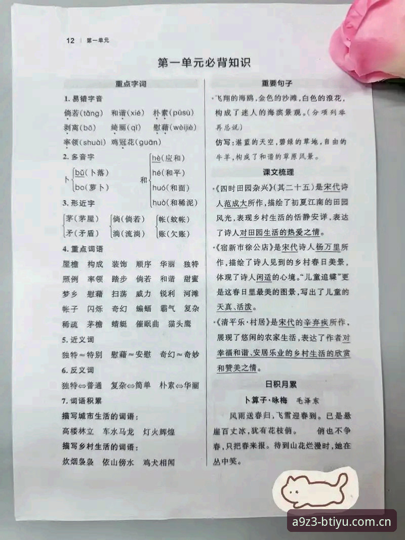 b体育注册实战全攻略 · 从零到精通必备知识